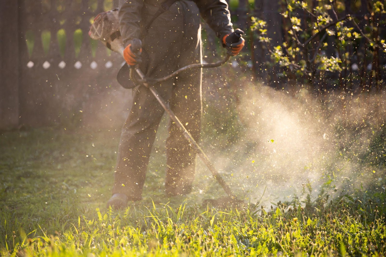 Expert using a lawn mower to cut grass.