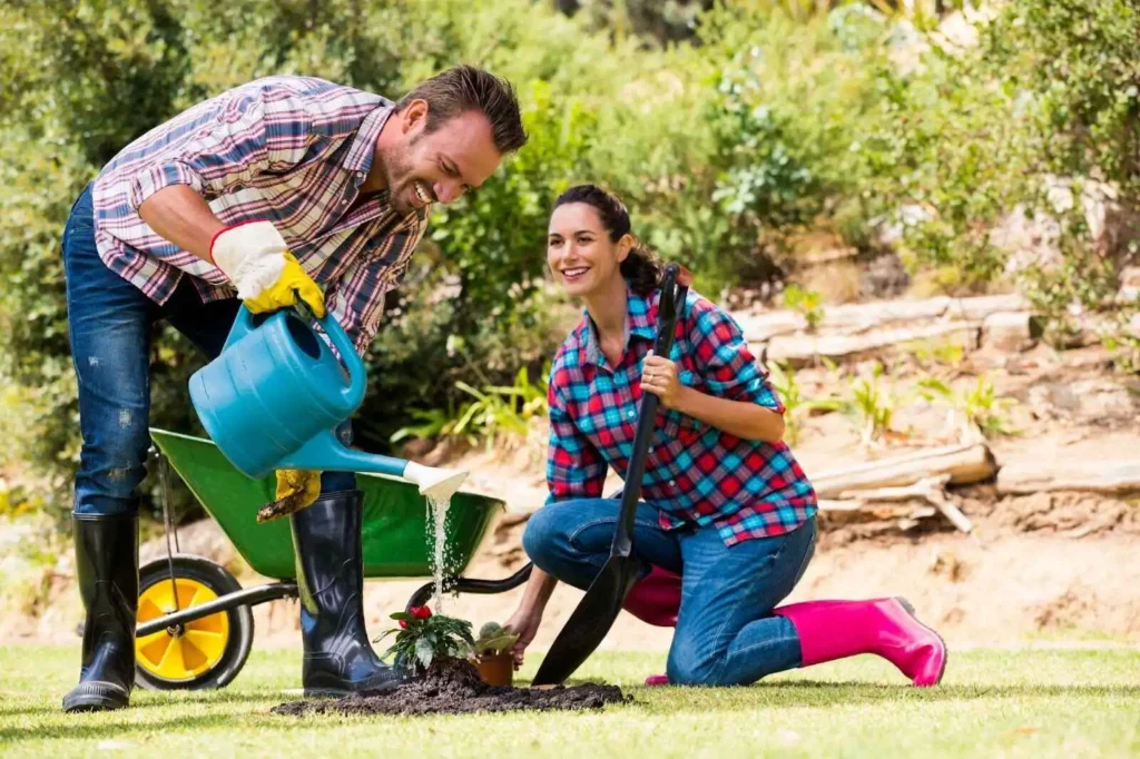 Factors To Consider To Start Spring Lawn Care