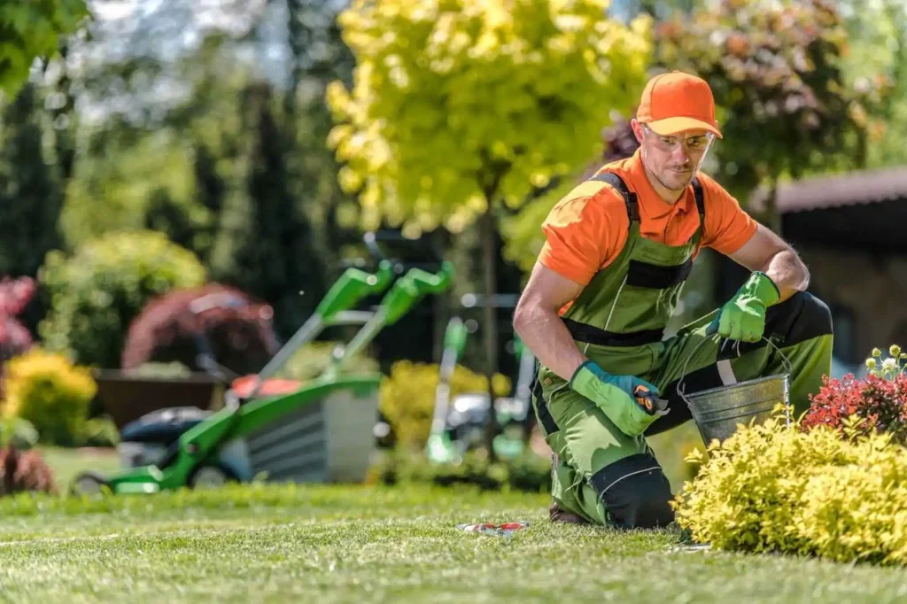 Guide on What Are the Importance of Spring Lawn Care In Ontario, Canada