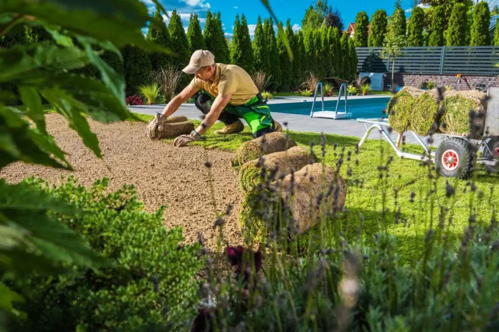 Man Restoring Backyard Garden Grass in front of a pool