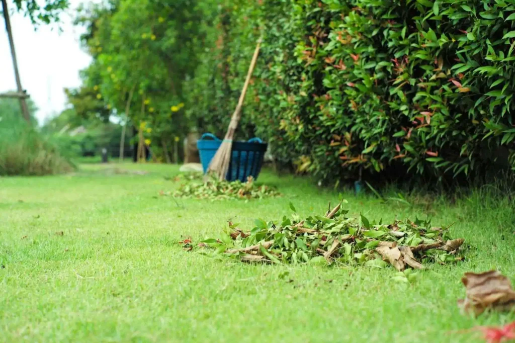 Describing Piles of dried leaves on the grass field  
