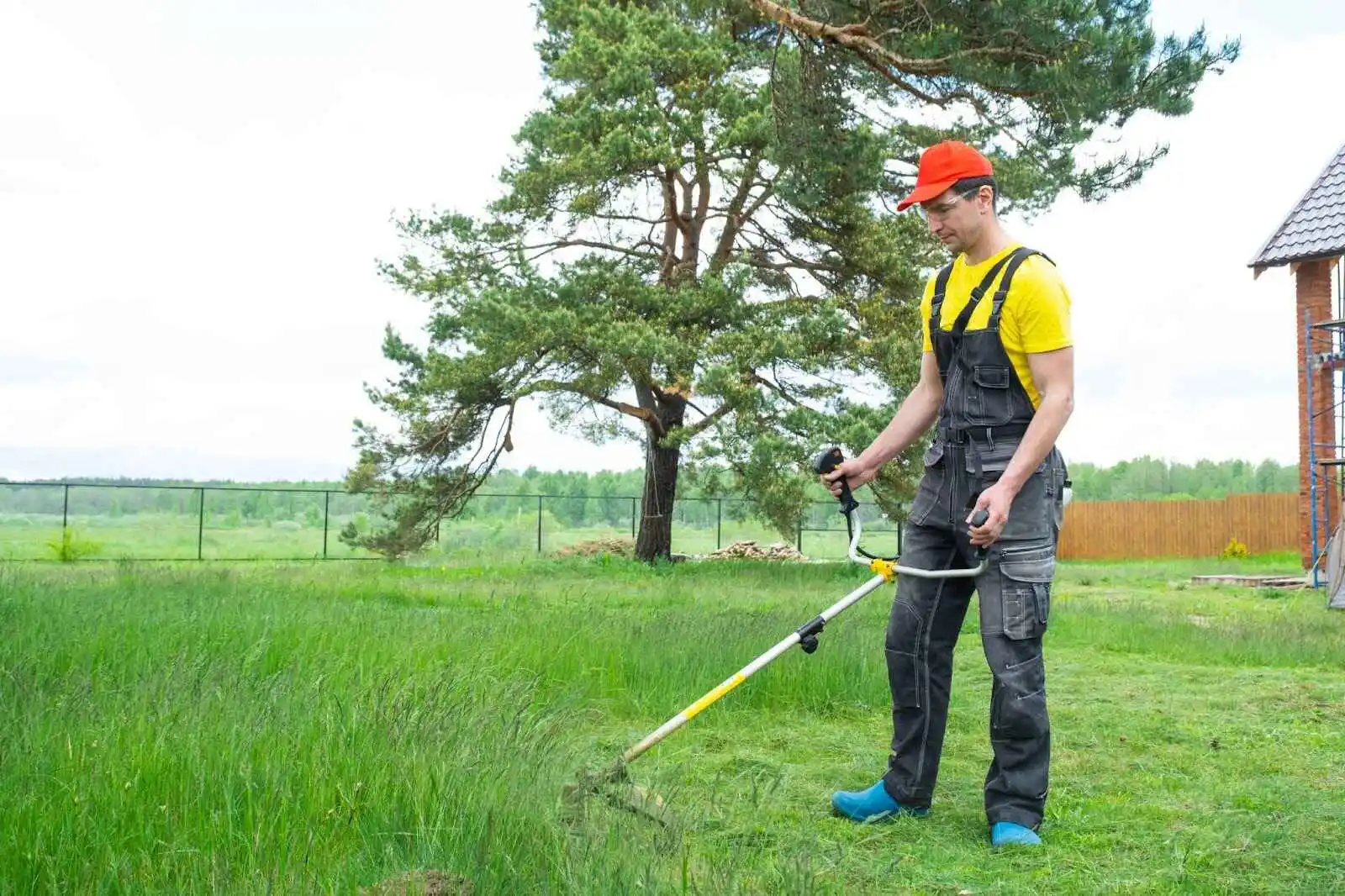 Guide on Spring Lawn Care In Ontario, Canada