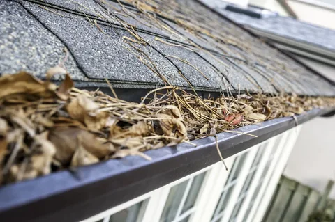 Advantages of Seasonal Cleaning of Clogged Downspouts