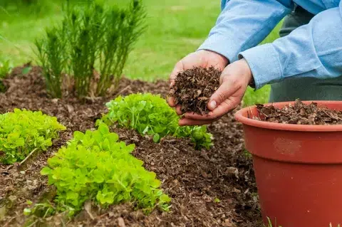 Prepare Your Garden: How do You Prepare Mulch?