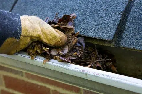Guide on Cleaning Gutters During The Seasons