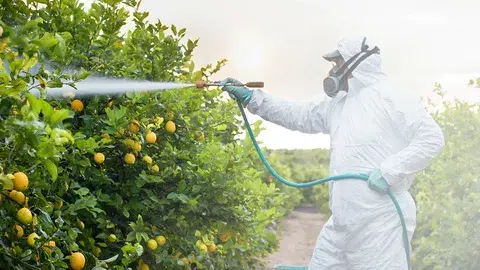 Gardener Performing Pesticide