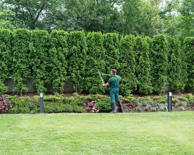 Gardener Trimming Garden Decorative Plants