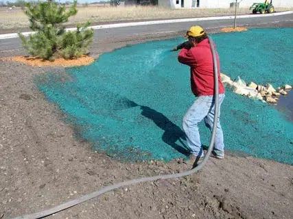 How Long Does It Take For Hydroseeding To Grow in Oakville