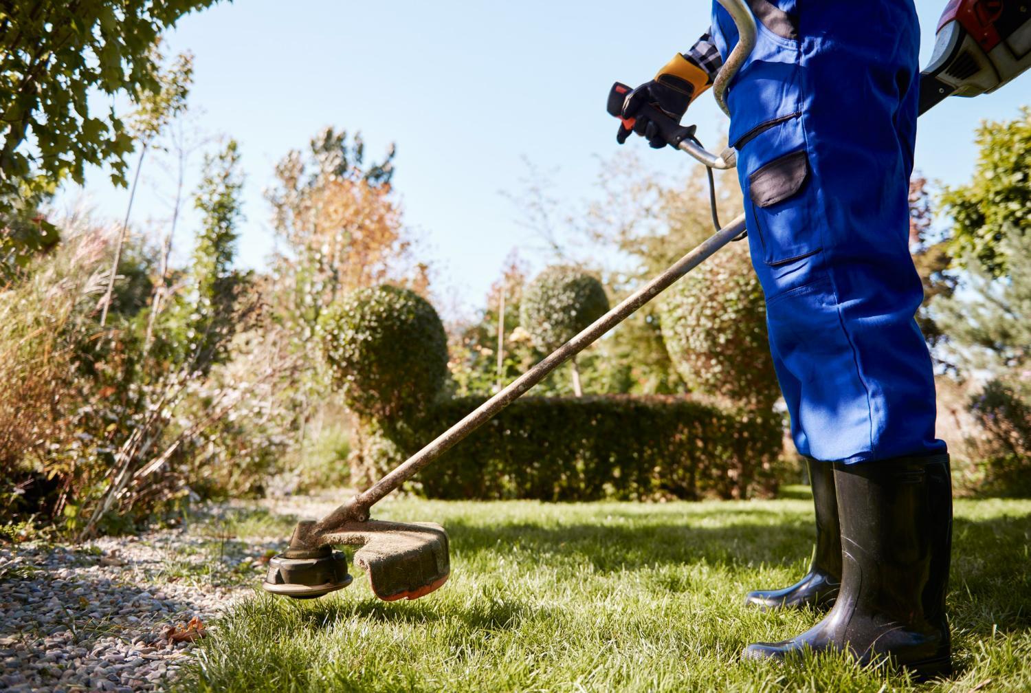 Guide on How Much do Landscaping Services in Etobicoke Cost
