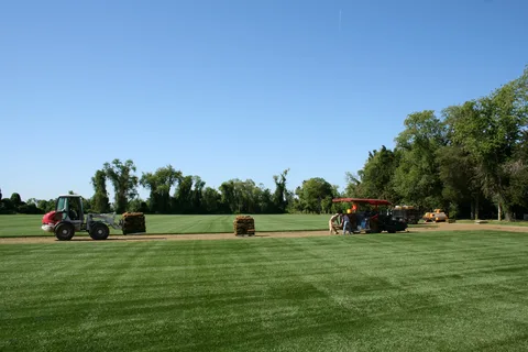 Guide on How to resod a lawn in Burlington