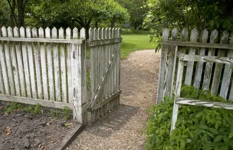 Is It Worth Staining An Old Fence in Hamilton?