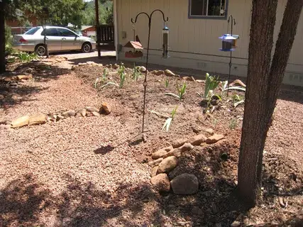 Landscaper Preparing Backyard Soil