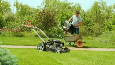 Man unloads mowed grass from a lawn's mower