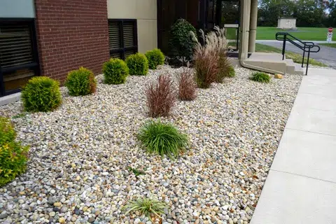 Enhancing Garden Appeal: Mulch as Part of A Garden Design