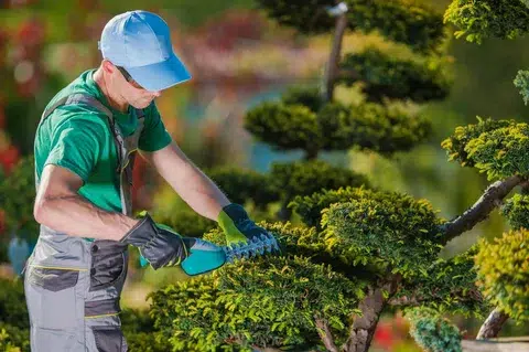 Describes Professional Landscaper Pruning Garden Plant