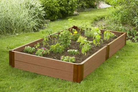 Raised garden bed with plants