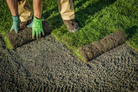 Guide on Residential Lawn Grass Installation From Rolls
