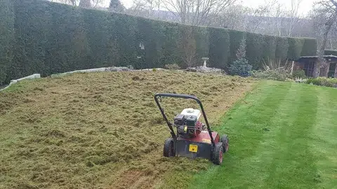 Scarification and aeration of lawn
