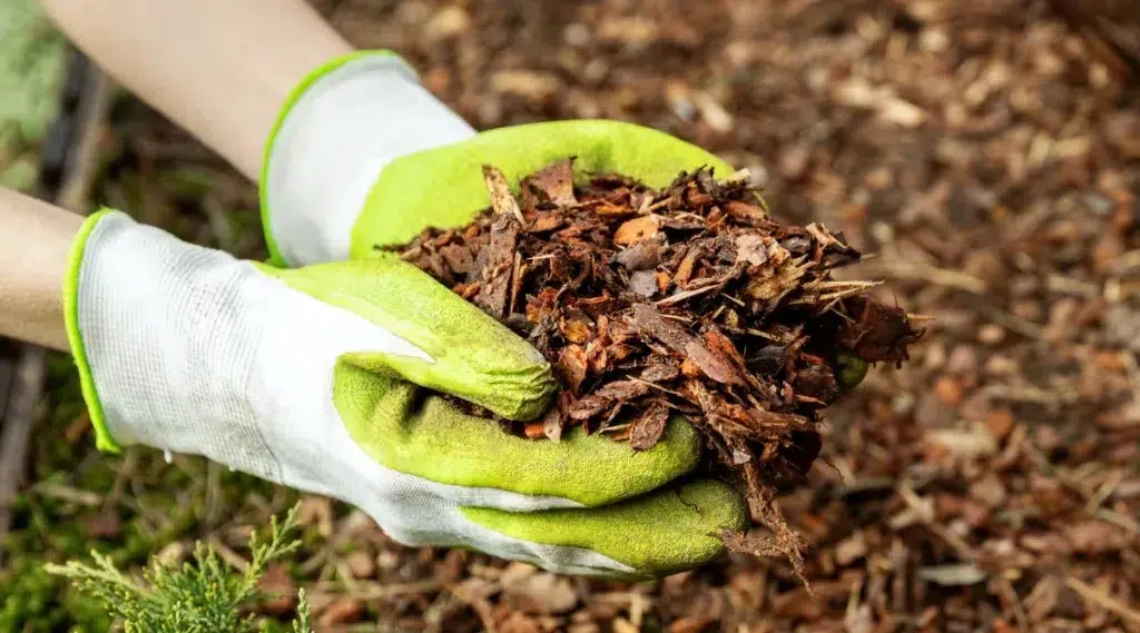 Seek Professional Mulching Help