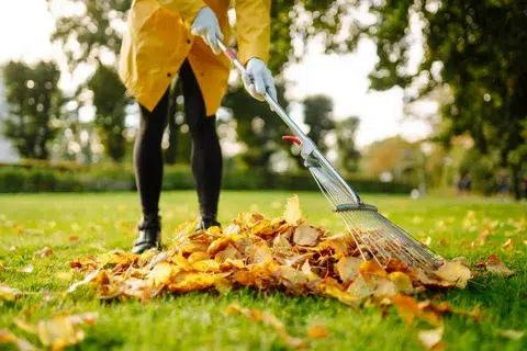 Guide on Spring Yard Clean Up in Ontario