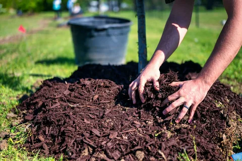 Guide on Tips For Spreading Mulch In Mississauga