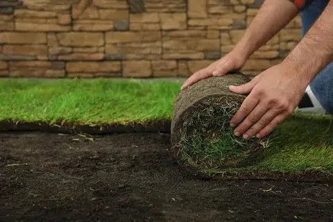 Guide on Turf installation by poolside garden