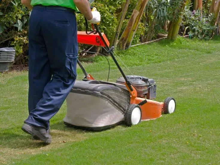 Best Grass Grass Cutting Service in Whitby, ON Get Best Grass Grass Cutting Service in Whitby, ON