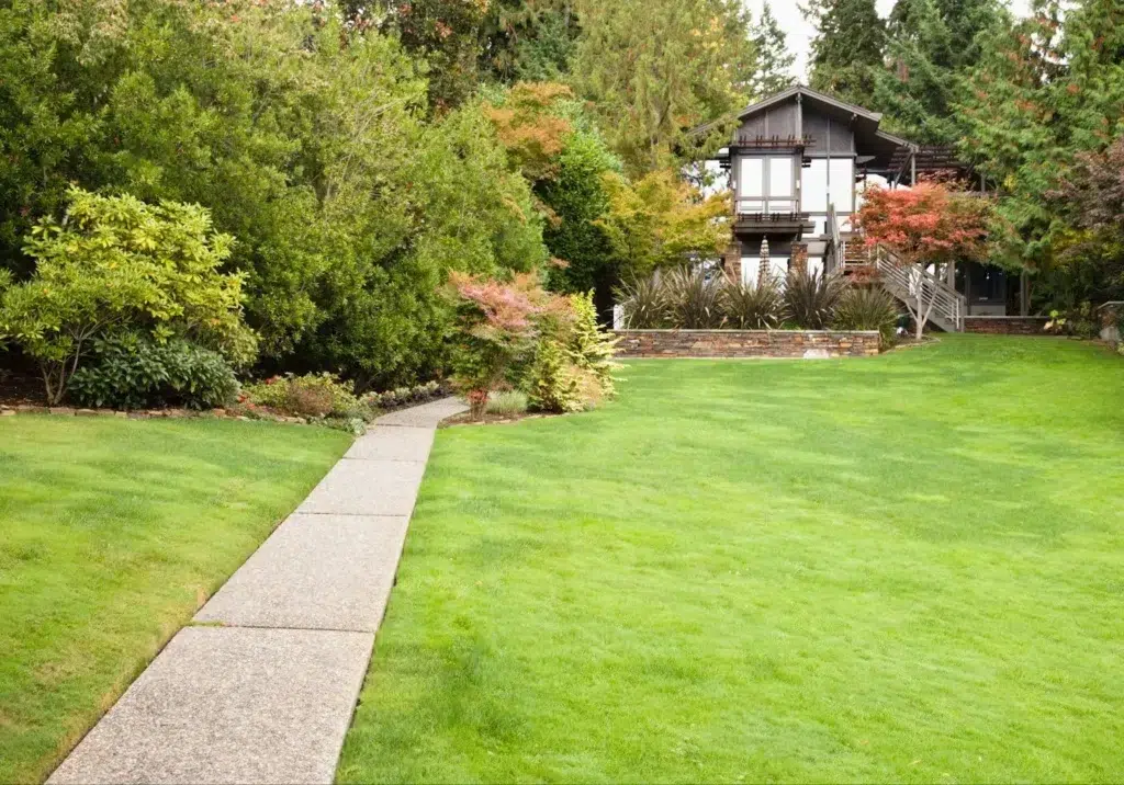 What Is the Best Lawn Maintenance Schedule for Ontario