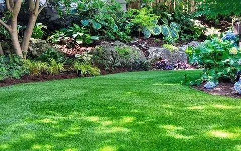Guide on Cheapest Way To Make A Lawn