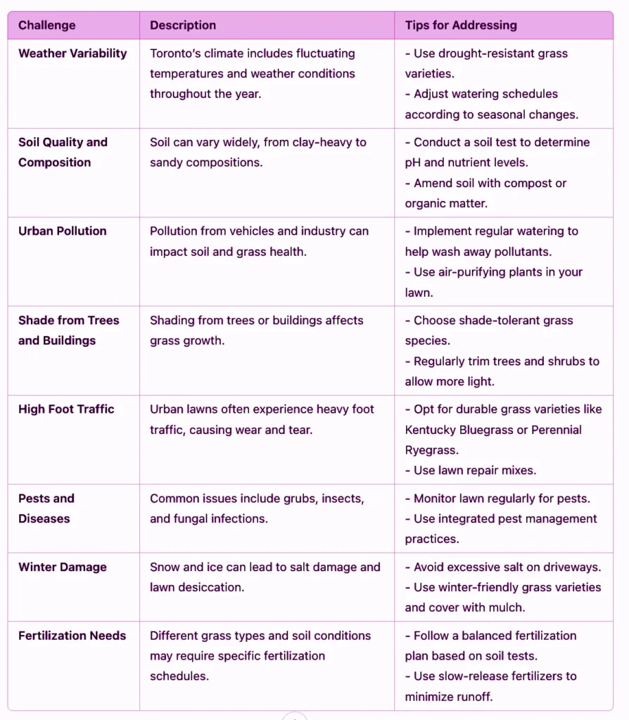 Custodia Lawn Maintenance Services Expert Guide