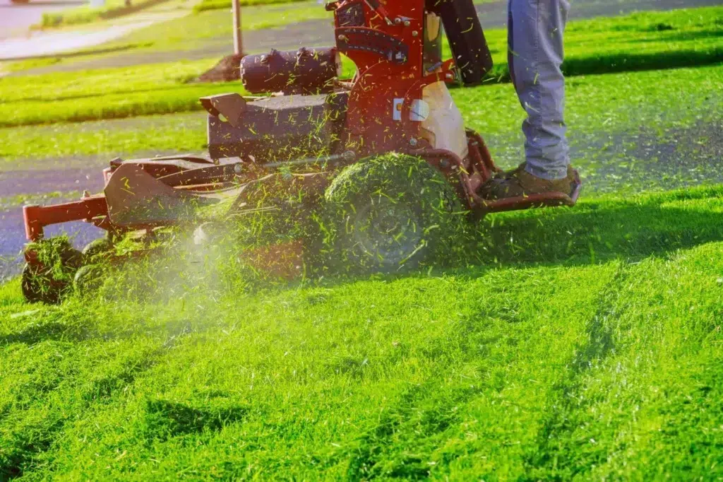 Guide on How Much Do Most Lawn Care Companies Charge In Ontario 2024?