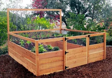 Guide on How To Build A Cedar Raised Garden Bed In Mississauga