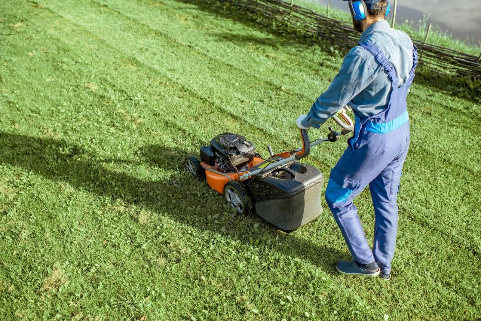 Guide on Is The Landlord Responsible For Mowing The Lawn In Ontario?