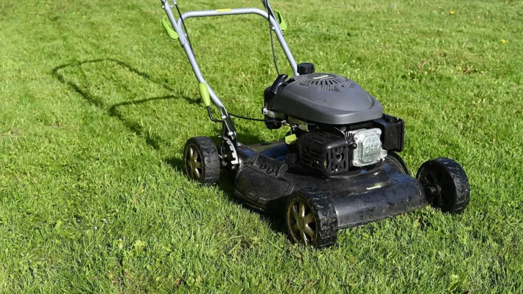 Mowing Height and Frequency