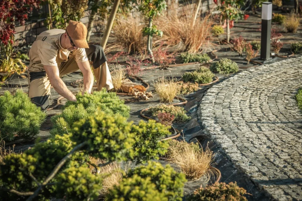 A gardner is Planting New Garden Trees