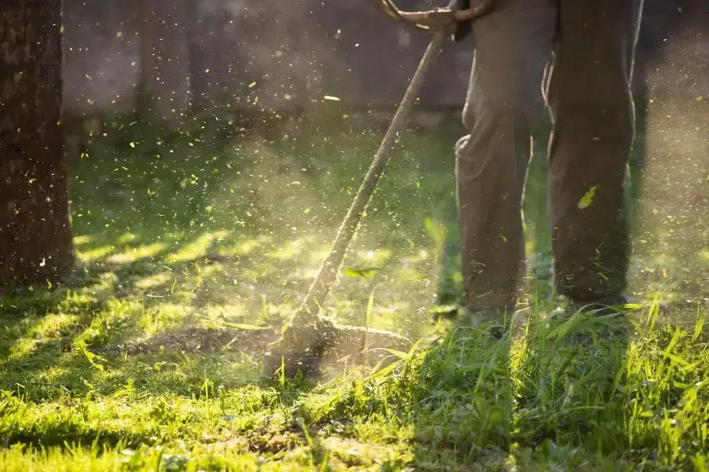 Guide on how much does it cost to cut a lot of grass
