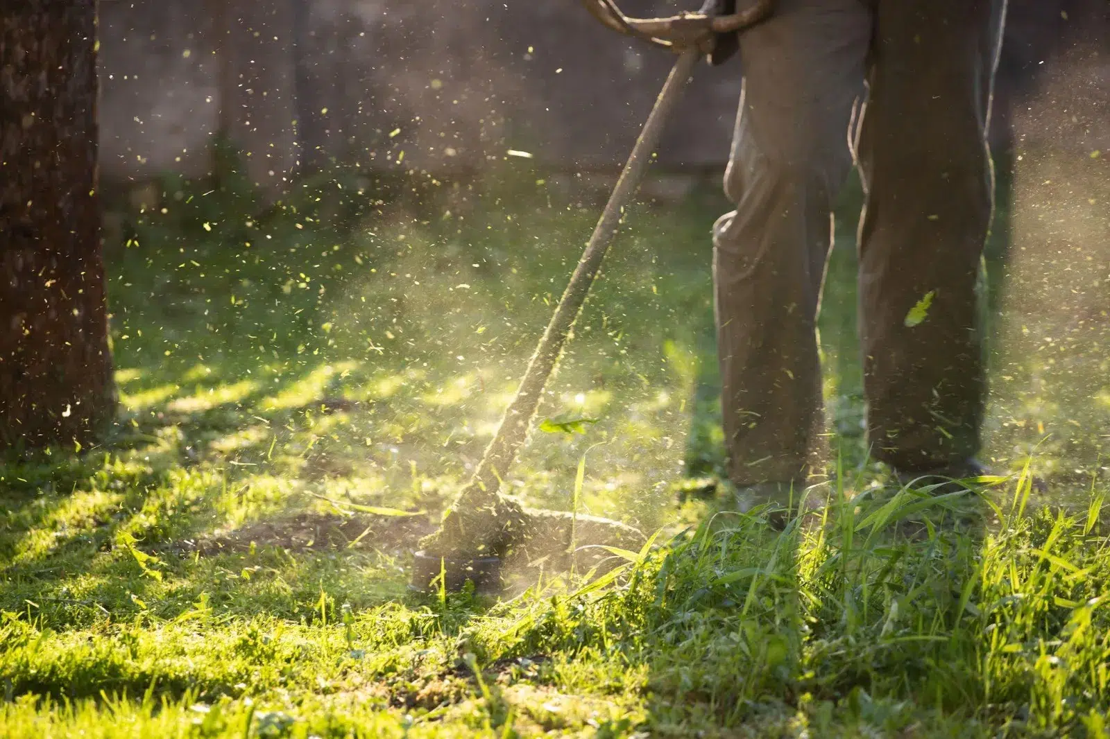 Guide on how much does it cost to cut a lot of grass