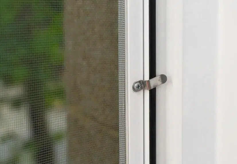 Get 6 Common Reasons to Replace the Mesh?