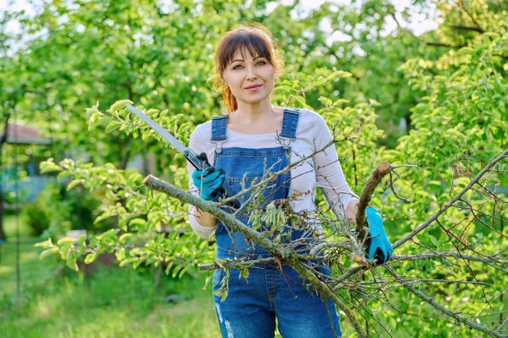 Gardener cutting overgrown tree branches in a yard