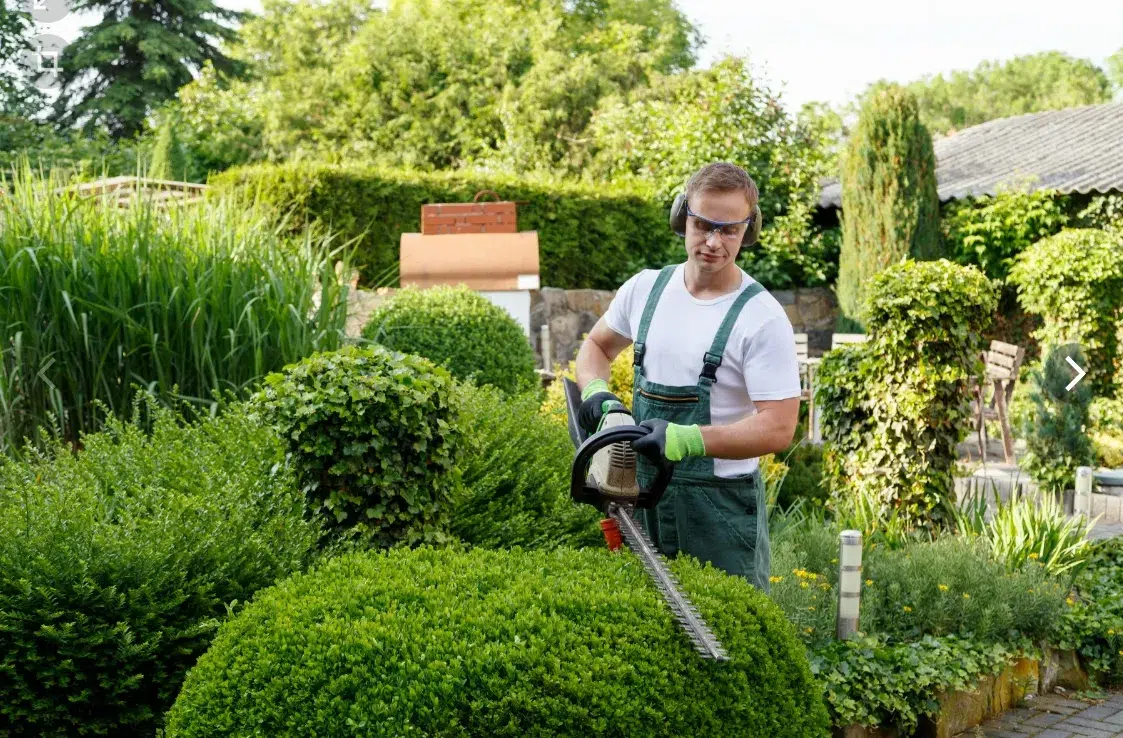 Guide on How Should A Beginner Maintain A Yard In Ontario