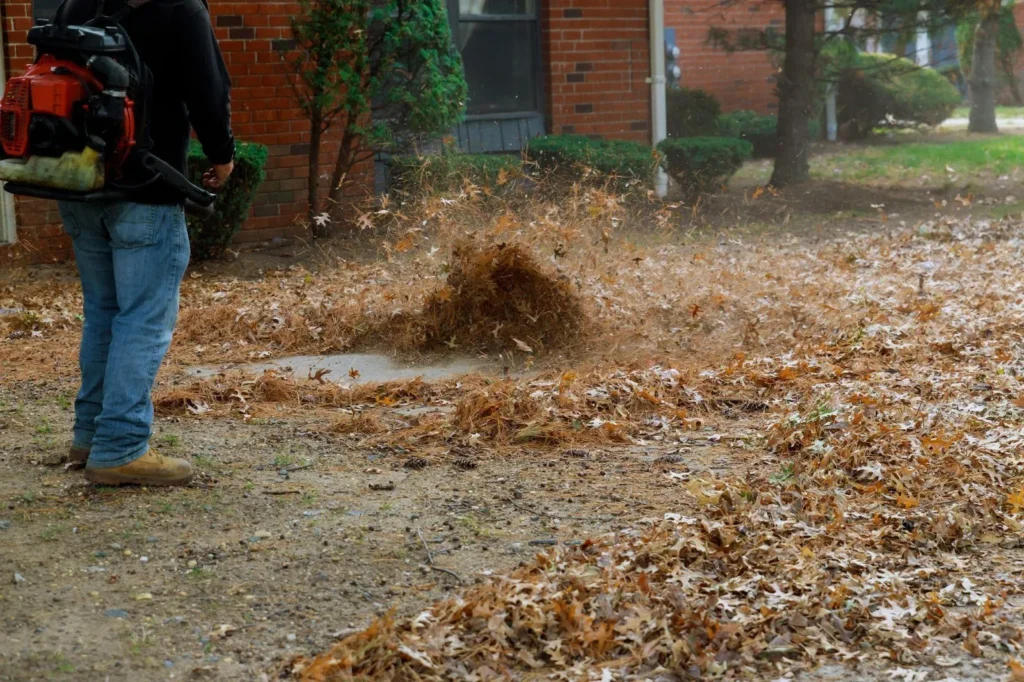 Man cleaning sidewalk with leaf blower in a yard