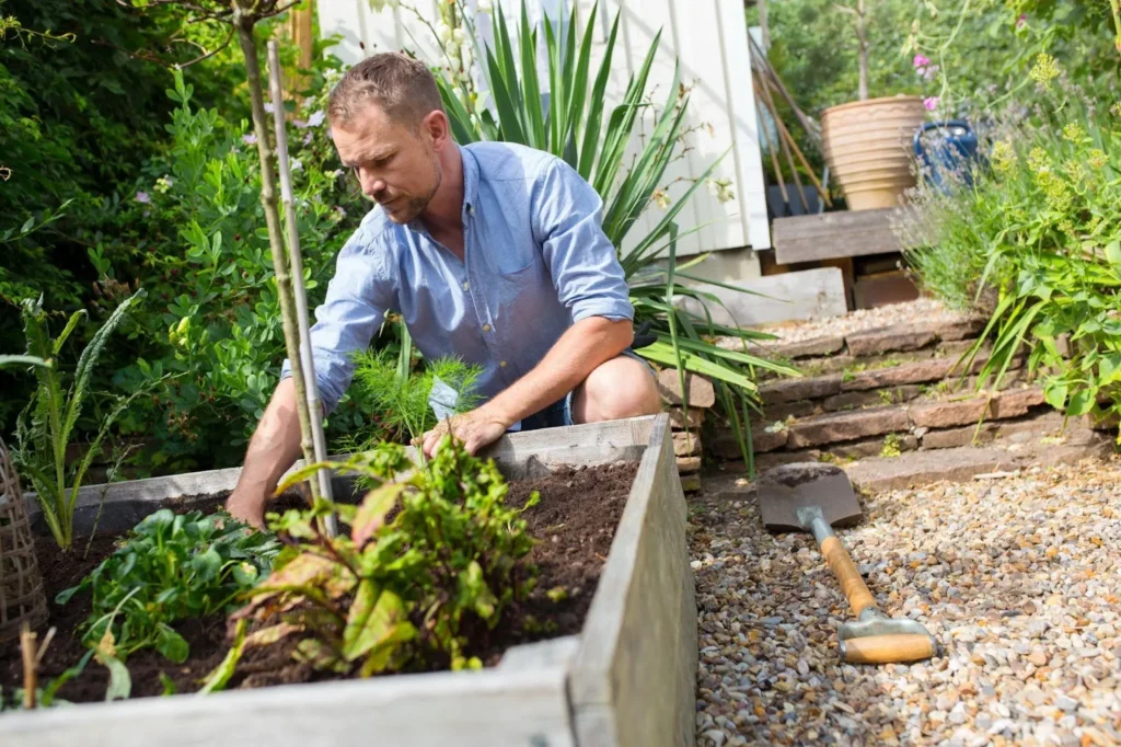 Man working in a garden