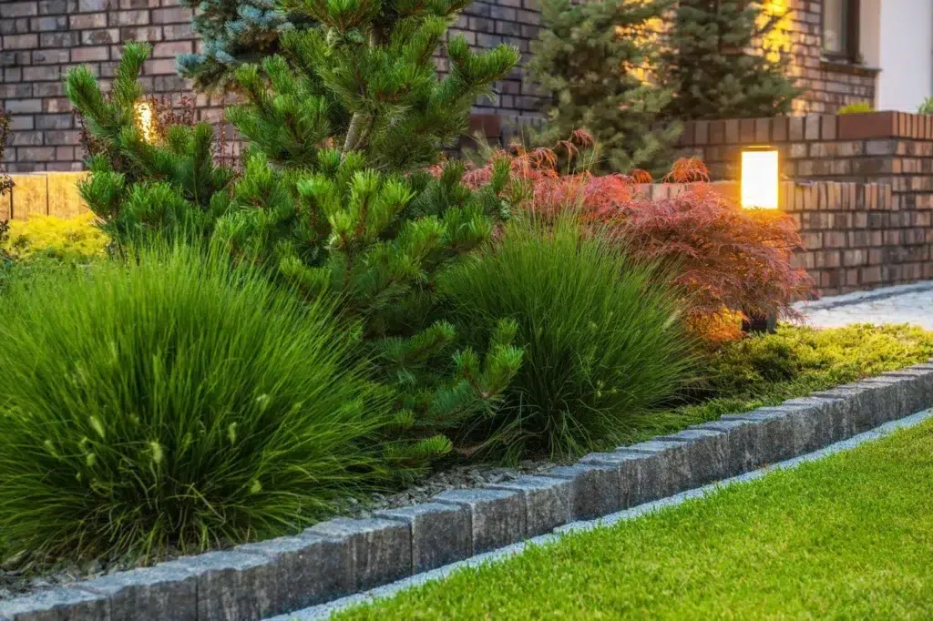 Residential Backyard Garden Illuminated