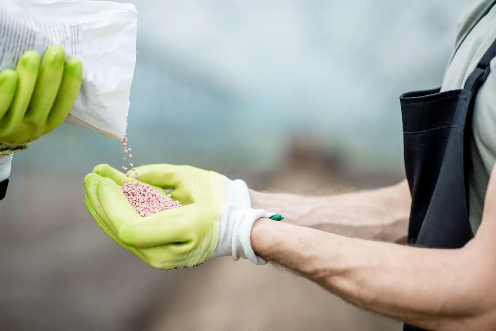 Guide on What Is The Best Fertilizer For Fall In Canada