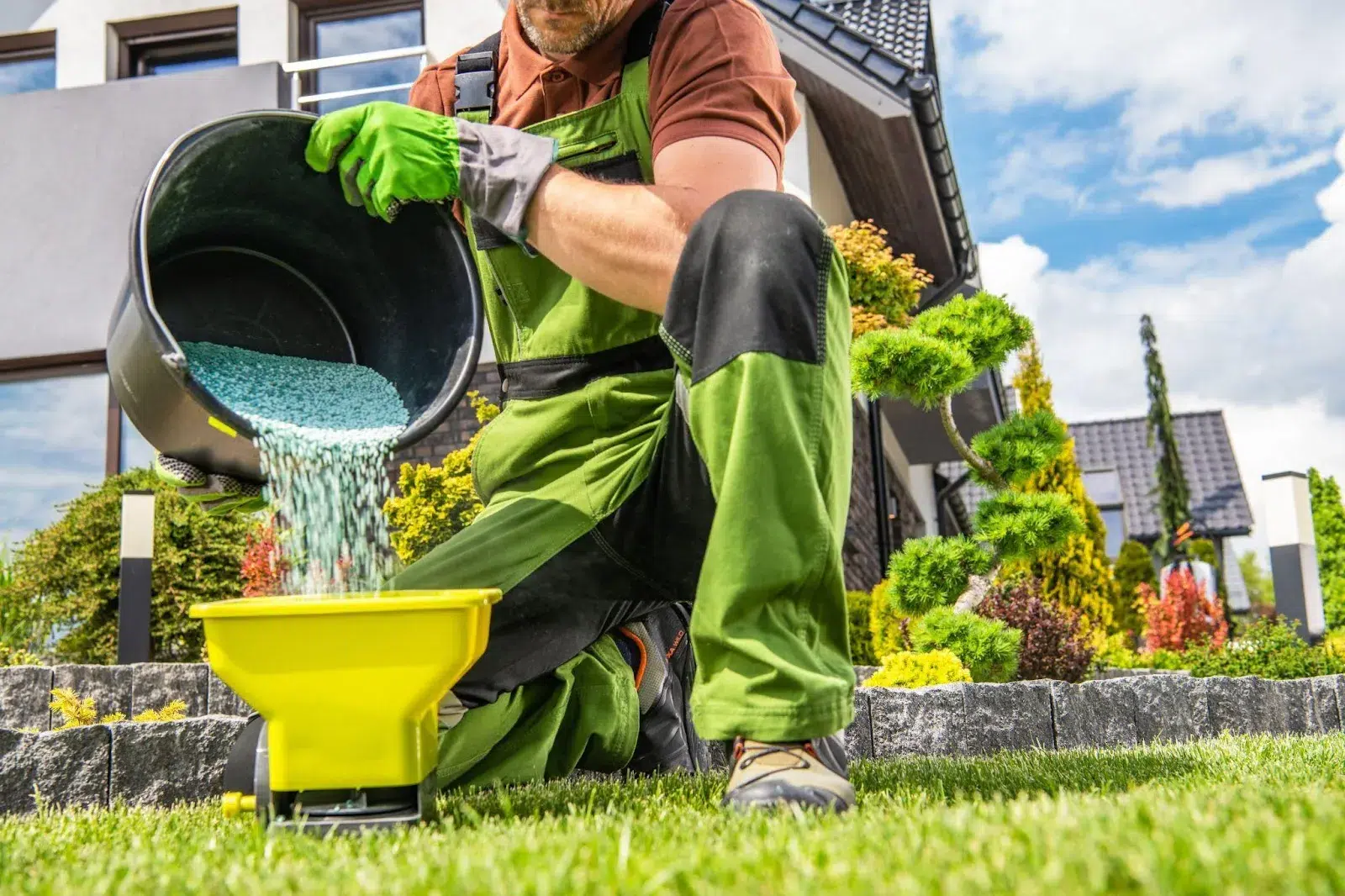Guide on What Is The Best Lawn Fertilizer For Autumn In Ontario
