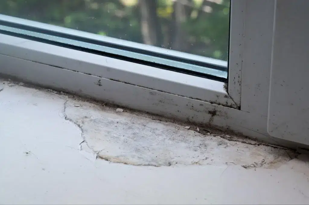 Window sill with mold is cracked due to moisture