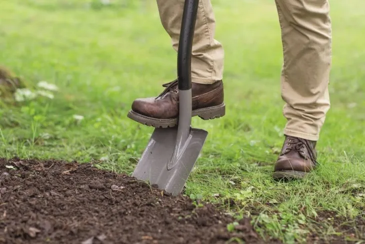 Yard Maintenance for Beginners