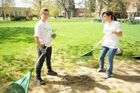 Yard Maintenance Tips for beginners