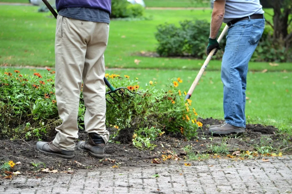 Yard cleaning team removing weed from the yard