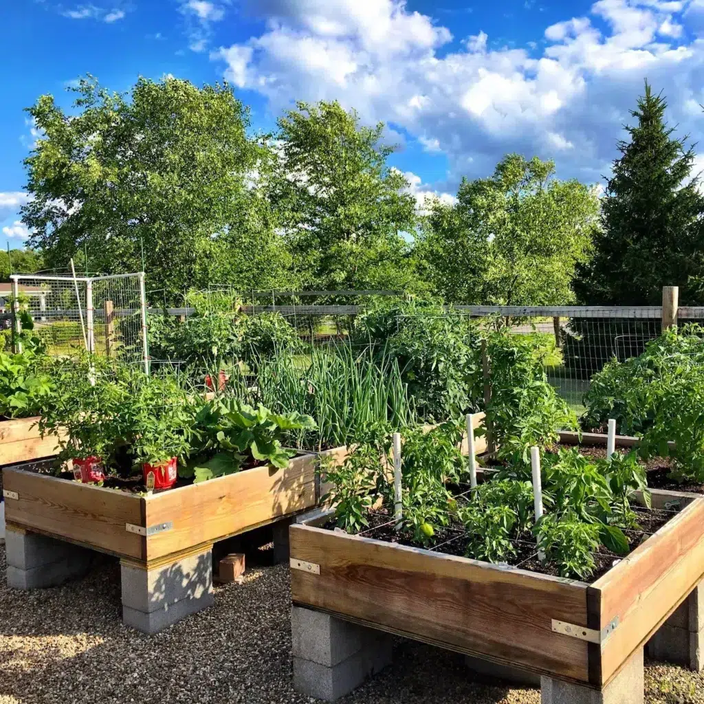 Guide on Gardening Tools and Equipment